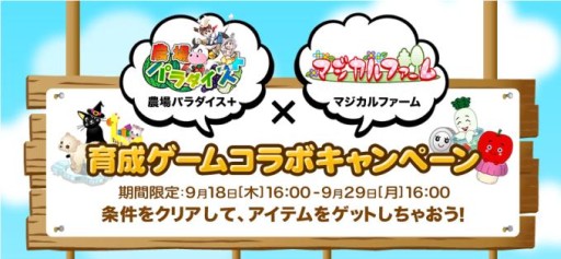 ������#005�Υ���ͥ���/�֥ޥ�����ե�����פ�aima���о졣������ѥ�������ܡפȤΥ���ܤ�