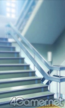 ���������꡼ No.005�Υ���ͥ������ / �����ǡȲ��ۥ⡼�ɡɤ䥤�٥�Ȥ�ʬ���⤢�롩����NEW��֥ץ饹�ס��ʲ�������ͧã�ѡ��ȡפϥ���ɥ쥹��ͷ�٤ޤ�