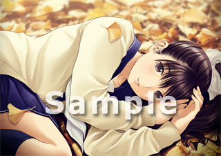 ���������꡼ No.003�Υ���ͥ������ / 3DS��NEW��֥ץ饹�פ�Ź���̹�����ŵ�����餫�ˡ��������������饹�Ȥˤϡ�̴���٥�Ȥ��о줹�륫�Υ���ã�λѤ� 