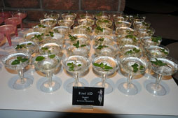 ꡼ No.034 | ֥Хϥɡץ꡼15ǯǰץߥѡƥݡȡ֥Хϥ ٥졼󥺡פRAID MODE䱣¸ߤ餫