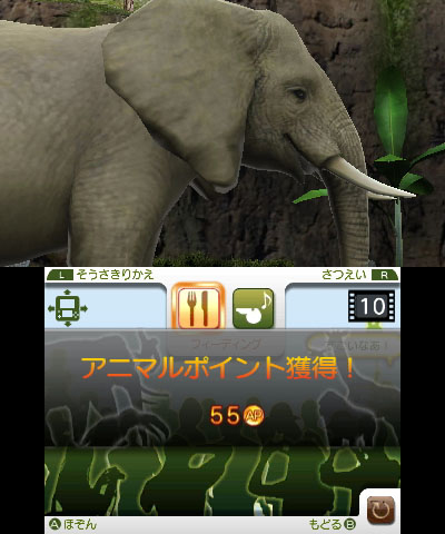 画像集 005 マーベラス 3ds専用動物園ライフゲームの正式タイトルを アニマルリゾート 動物園