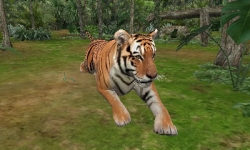 画像ギャラリー No.002のサムネイル画像 / 「アニマルリゾート 動物園をつくろう!!」公式サイトにデモムービーが追加