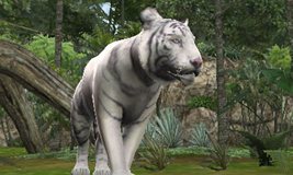 ���������꡼ No.002�Υ���ͥ������ / �֥��˥ޥ�꥾���� ưʪ�������!!�ץ�����δ������Ǥ�Ҳ𤹤�ץ��⡼�����ࡼ�ӡ������������ȤǸ����ˡ�����ưʪ����ȤΥ���ܤ�