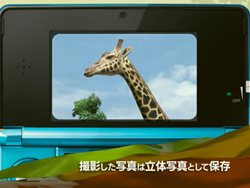 アニマルリゾート 動物園を作ろう ゲームの基本要素を紹介するプロモーションムービーが公式サイトで公開に 東武動物公園とのコラボも