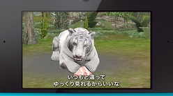 ���������꡼ No.003�Υ���ͥ������ / �֥��˥ޥ�꥾���ȡס��ƥ��CM��PV����������ȤˤƸ���