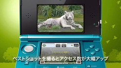 ���������꡼ No.005�Υ���ͥ������ / �֥��˥ޥ�꥾���ȡס��ƥ��CM��PV����������ȤˤƸ���