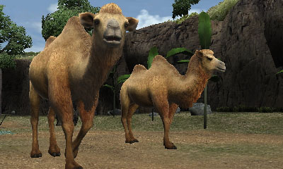 ���������꡼ No.005�Υ���ͥ������ / �֥��˥ޥ�꥾���ȡס�����ưʪ����Υ����åȤʤɤ������륯���������ڡ���