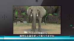 画像ギャラリー No.013のサムネイル画像 / 東武動物公園の飼育係が「アニマルリゾート」に挑戦,3本の映像が公開に