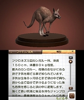 画像ギャラリー No.008のサムネイル画像 / 「アニマルリゾート」公式サイトを更新,イリエワニやアルパカなどが公開に