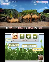 アニマルリゾート 動物園をつくろう 3ds 4gamer Net