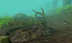 ���������꡼ No.008�Υ���ͥ������ / ������������ǥ�����������ꥢ��Х��ե��å��󥰥������FISH ON�פ�6��9����ȯ�䡣�����Τ�Ӥ�į��������վޥ⡼�ɤ����