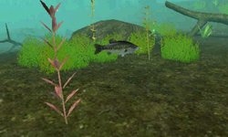 ���������꡼ No.009�Υ���ͥ������ / ������������ǥ�����������ꥢ��Х��ե��å��󥰥������FISH ON�פ�6��9����ȯ�䡣�����Τ�Ӥ�į��������վޥ⡼�ɤ����