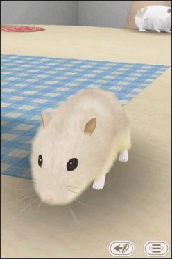 ꡼ No.003 | iPhoneiPadѥڥåȥߥ˥HamTouch!פָò