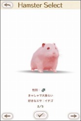 ꡼ No.004 | iPhoneiPadѥڥåȥߥ˥HamTouch!פָò