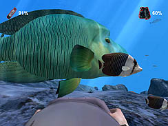 ���������꡼ No.010�Υ���ͥ������ / �����С����ɡ�ï�Ǥ�������γ��������֥����С� �����å������֡����ܸ�ޥ˥奢���դ��Ѹ��ǡˡפ�����ȯ��