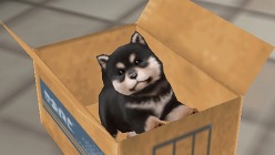 ꡼ No.038Υͥ / 嫤١ ַĹ5 ˡ§סॻ󥿡γƮǡĶ絻ɤ褦ϥץ쥤ϷΥХ