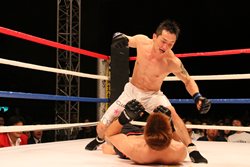 ꡼ No.008Υͥ / ַĹ5פƮ٥ȡTHE OUTSIDERפȥܡǤ˻äܰΥܻؤ