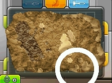 画像ギャラリー No.006のサムネイル画像 / 最強の恐竜を手に入れろ。NDS「スーパーカセキホリダー」,“究極進化”などの新要素を搭載し,11月18日発売