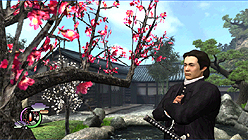 ꡼ No.004Υͥ / ֻƻ4סDLCֿȥåȡס֤οͤϺĥåȡפ̵ۿ֤Ĺ