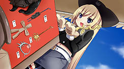 ꡼ No.017 | ˨˨Сפϸǹݤβƥॽեȡե£륷꡼2Ƥϡ2010ǯ1224ȯ