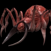 ꡼ No.005 | ֥ӥ饤פΥץ쥤ࡼӡUpʥܥ󥹥ʣΥʡˤ˶ϥץ쥤