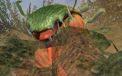 ���������꡼ No.009�Υ���ͥ������ / �֥�ӥ�������饤��פ椫�ʤ���Υܥ��������ƥ��о�������ơ�������