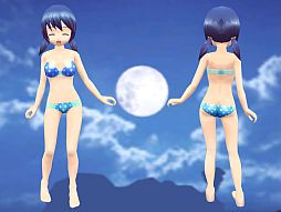 ꡼ No.011Υͥ / ֥ӥ饤ŷȤ䰭οо졤ָꥹơ