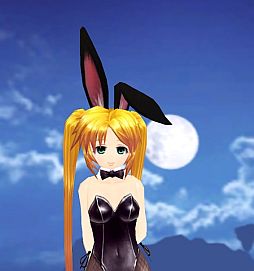 ꡼ No.040 | ֥ӥ饤סƥ֥ǥޥåפԻ׵Ĥо