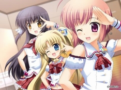 ꡼ No.003 | ֥ޥ塼C79䡣Ƽ䥰å