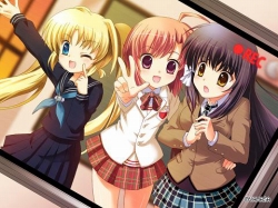 ꡼ No.004 | ֥ޥ塼C79䡣Ƽ䥰å