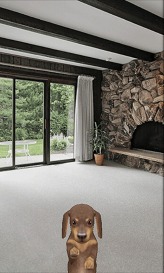 画像ギャラリー No.002のサムネイル画像 / パスカル,「マイドッグ マイルーム」配信中。Android端末で子犬達と触れ合おう