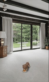 画像ギャラリー No.004のサムネイル画像 / パスカル,「マイドッグ マイルーム」配信中。Android端末で子犬達と触れ合おう