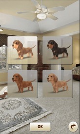 画像ギャラリー No.005のサムネイル画像 / パスカル,「マイドッグ マイルーム」配信中。Android端末で子犬達と触れ合おう