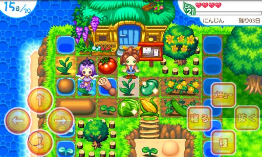 ���������꡼ No.002�Υ���ͥ������ / �֥������ե����� �꥾���� �ܤ��������Τ��ޡס��ɥ���Υ��ޥե��������ۿ�