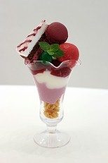 ꡼ No.004 | 25ǯޤ֥ץ꡼ARTNIAʥȥ˥ˤȤΥܥե򳫺