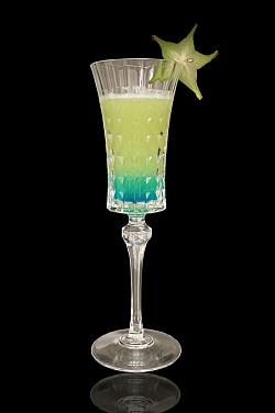 ꡼ No.006 | 25ǯޤ֥ץ꡼ARTNIAʥȥ˥ˤȤΥܥե򳫺