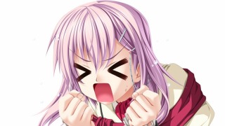 ꡼ No.009 | Princess Frontier Portableסʥ٥ȤCG¿ɲä2011ǯ47ȯ䡣ƣ¤󤬱餸뿷ҥо