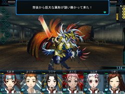 ꡼ No.002Υͥ / µܥ֥åɡۿθǤɽѥɤƱ礹ȡAmazonեȷʤɤ륭ڡ󳫻