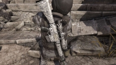 ꡼ No.009Υͥ / ֥ڥե2סϤΤޥåסְספˡʥʥѡ饤եSR25+S2S+Zebraפо