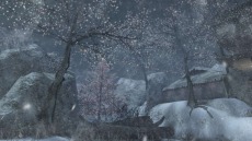 ꡼ No.005 | ֥ڥե2ס郎ڤޥåס֥إӡΡפơFR-F2+BlueTigerפ