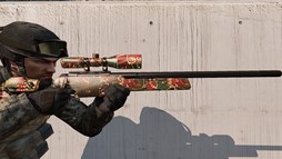 ���������꡼ No.010�Υ���ͥ������ / ��SPECIAL FORCE 2������ץ쥤��ͭ���ʵ�ǽ�����ܤΥץ�ߥ���ѥ��ݡ��Ȥ����