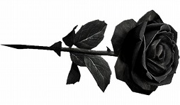 ꡼ No.035 | ֥ڥե 2סǥޥå⡼ɤοޥåסֳ±פ