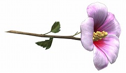 ꡼ No.036 | ֥ڥե 2סǥޥå⡼ɤοޥåסֳ±פ