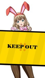 ���������꡼ No.001�Υ���ͥ������ / �֥֥饦���쵳���� �����������״��ָ����7�ͤΥХˡ�Ʈ�Υ������о�