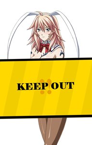 ���������꡼ No.007�Υ���ͥ������ / �֥֥饦���쵳���� �����������״��ָ����7�ͤΥХˡ�Ʈ�Υ������о�