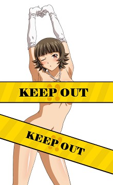 ���������꡼ No.003�Υ���ͥ������ / �֥֥饦���쵳����ס������ɤ������ץ󡣥��ꥹ�ޥ����ꥫ���ɤ��о�