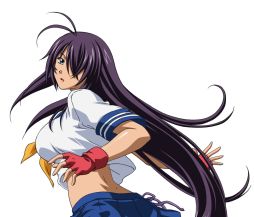 ���������꡼ No.007�Υ���ͥ������ / �֥֥饦���쵳����ס����������ʥ����ץ�Ѥο�Ʈ�Υ����ɤ�10���ɲ�