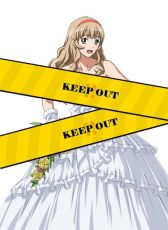 ꡼ No.005Υͥ / ֥֥饦쵳פ˥ǥ󥰥ɥ쥹ѤƮΥɤָо