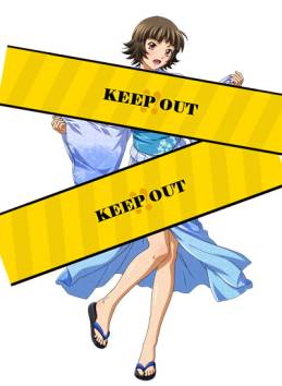 ꡼ No.003 | ֥֥饦쵳פˤפƮΤָо졣󥭥ڡ