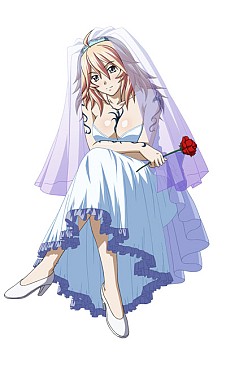 ꡼ No.008 | ֥֥饦쵳 סָǡ֥ȡ פо